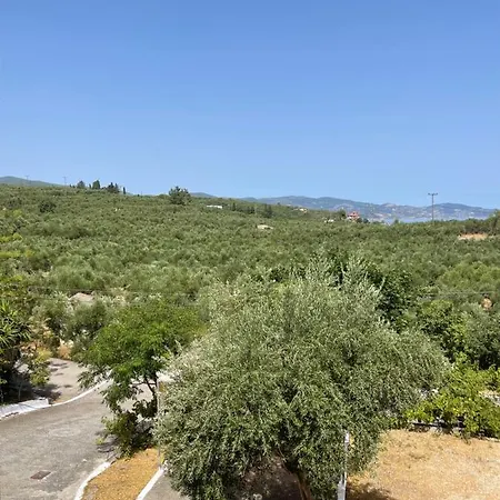 Isavella Studios *