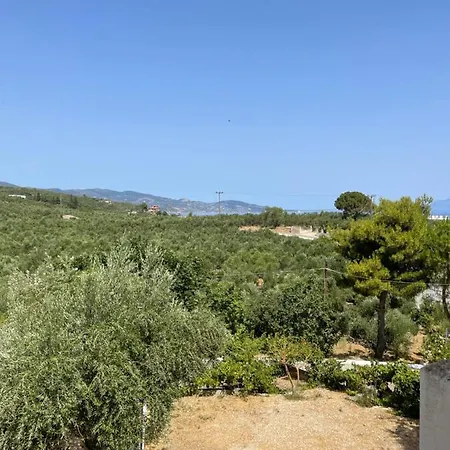 Isavella Studios *